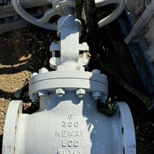 6" 300ansi Neway LCC Valve