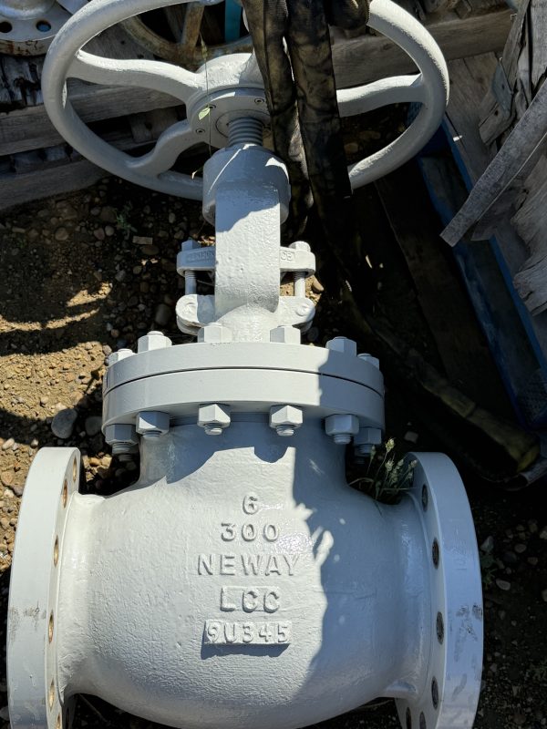 6" 300ansi Neway LCC Valve