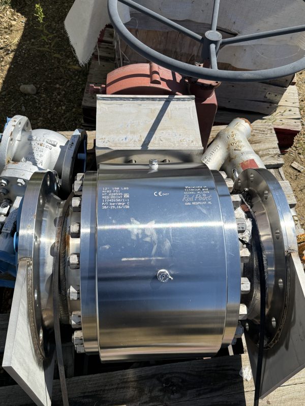 12" Red Point Valve