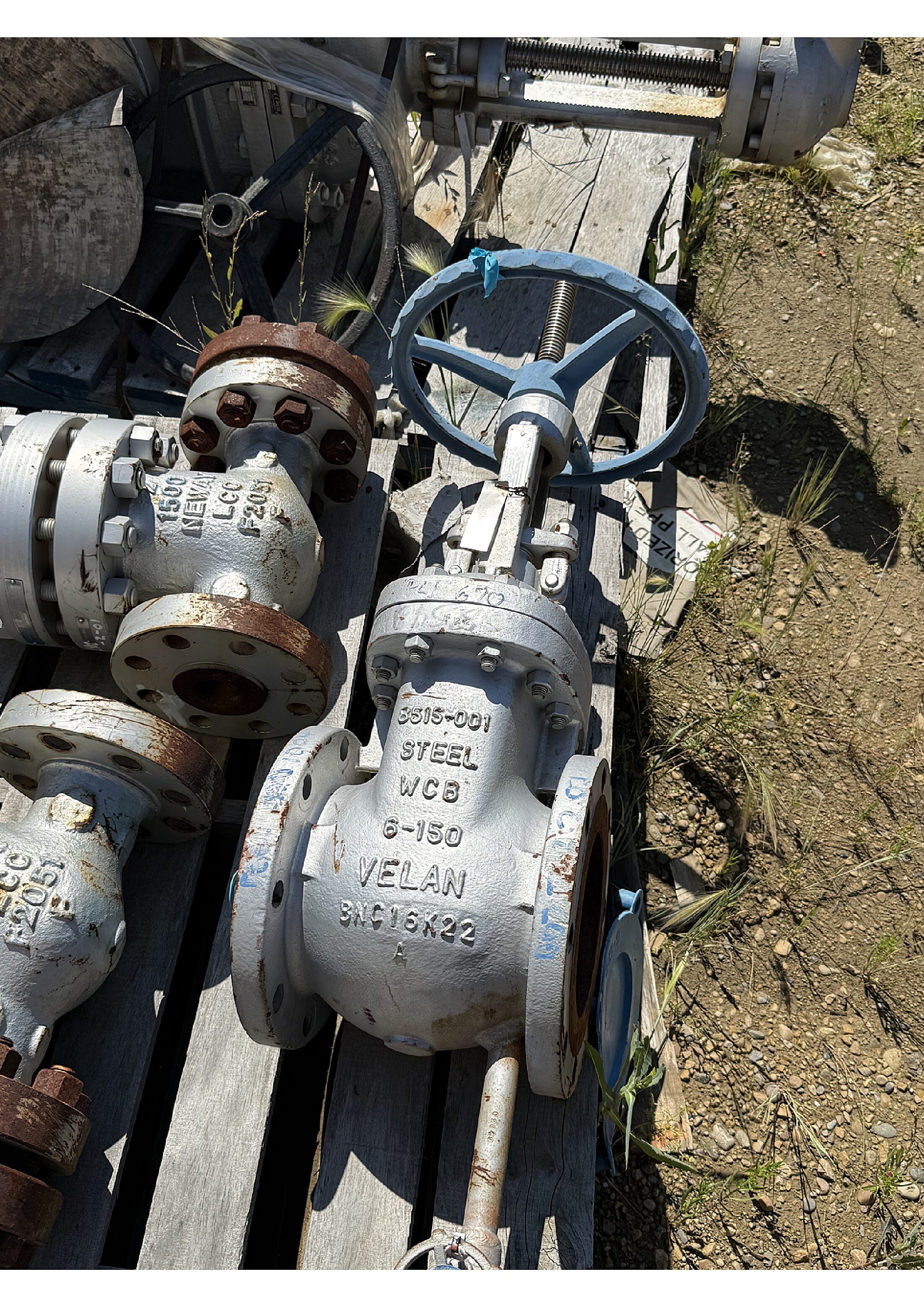 6" 150 ansi Velan WCB Valve