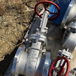 8" 150ansi Valve