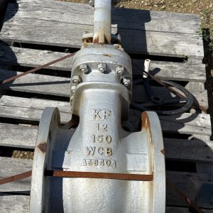 12" 150ansi WCB Valve